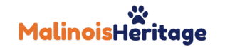 Malinois Heritage